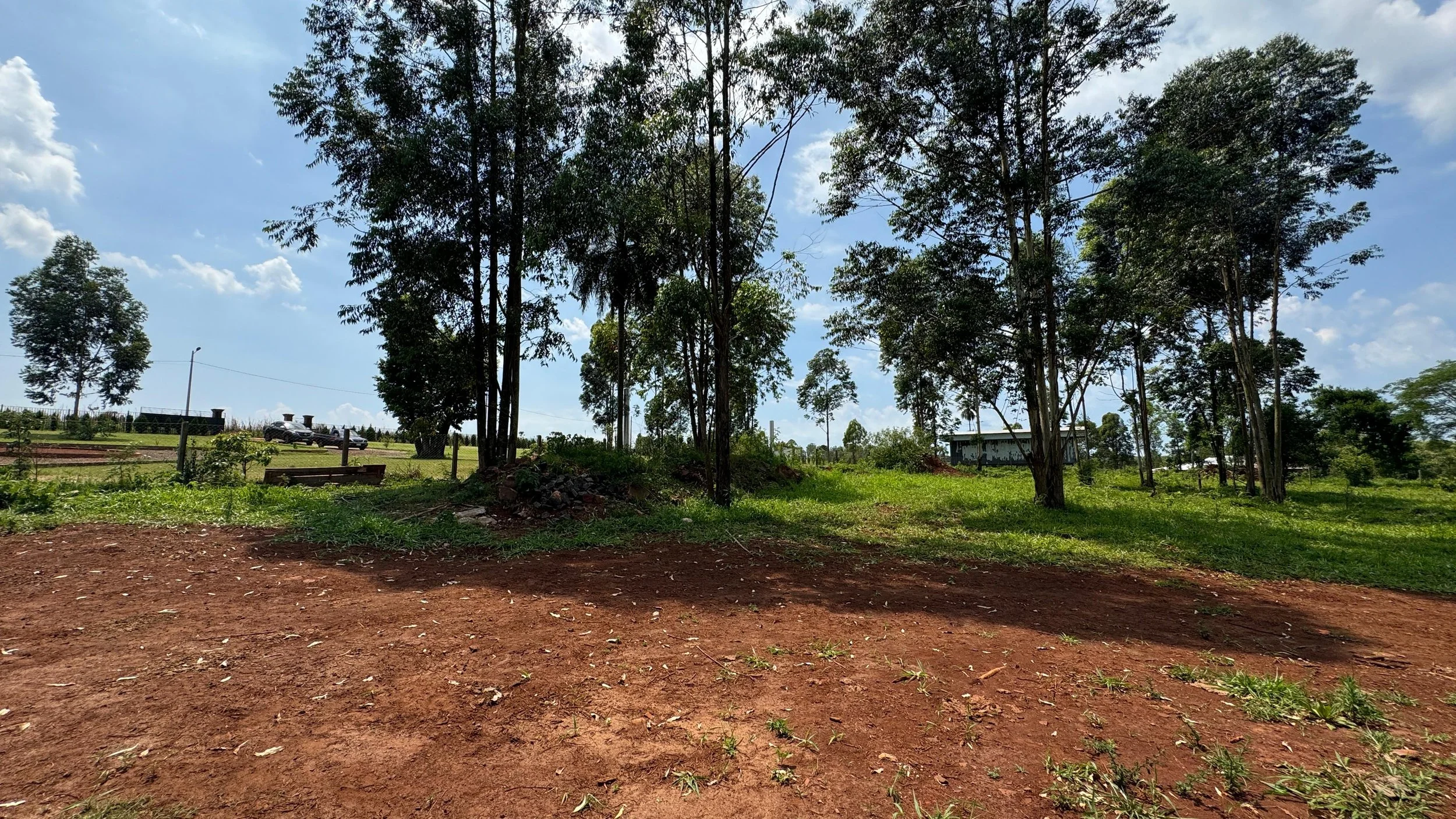 Afbeelding van WhatsApp op 2024-11-11 om 19.33.03_5a286ae8.jpg