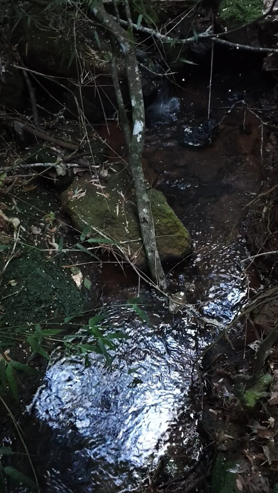 WhatsApp Image 2026-04-07 at 17.31.50.jpeg