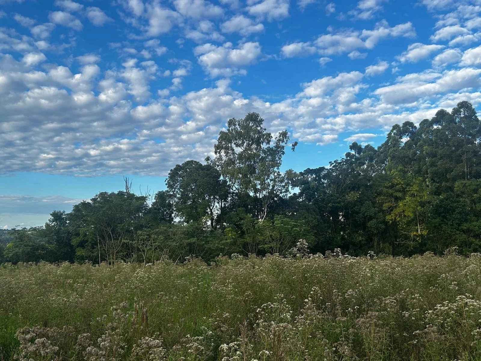 WhatsApp Image 2026-04-24 at 00.48.50 (1).jpeg