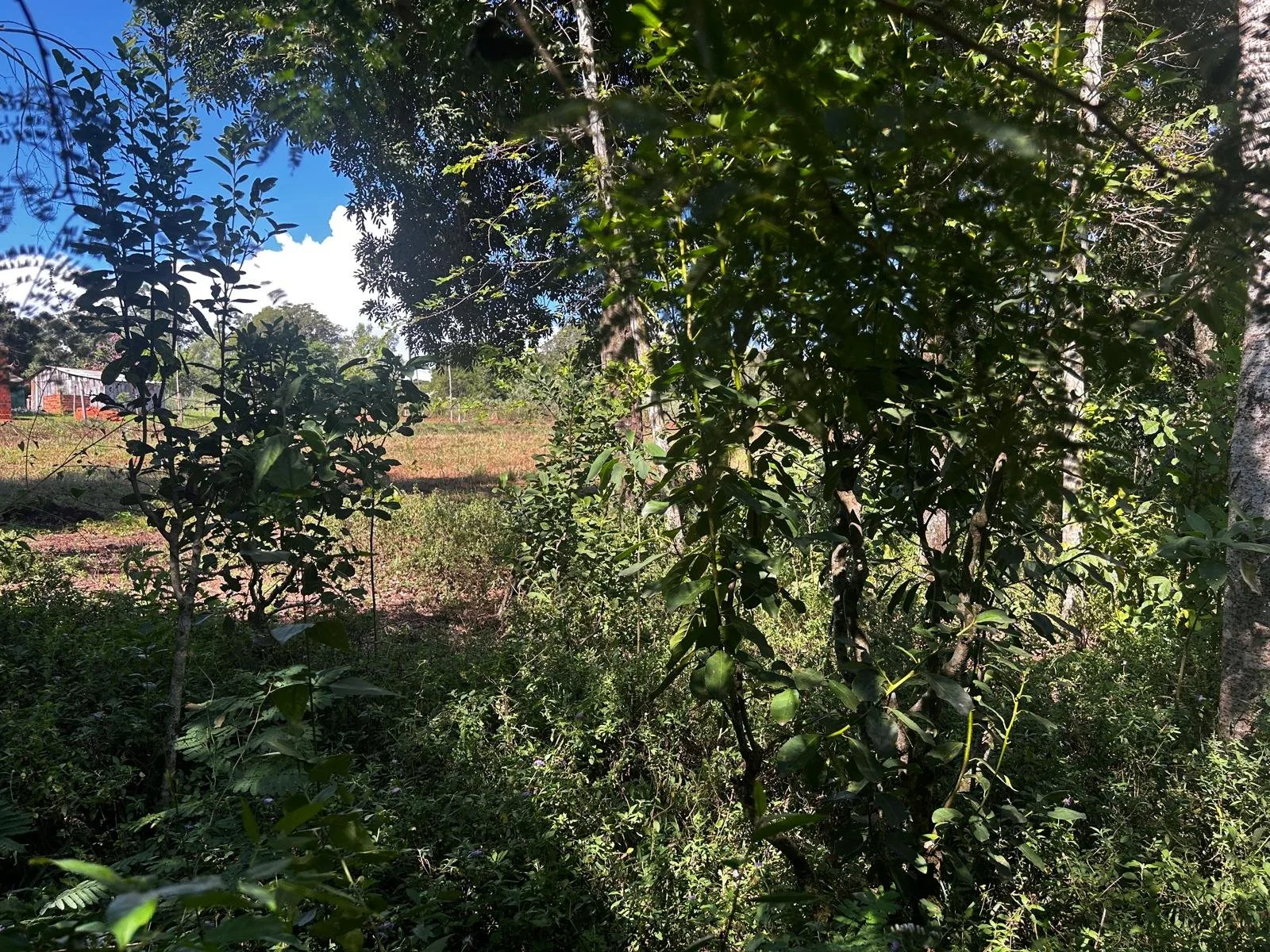 WhatsApp Image 2026-04-01 at 20.22.12 (4).jpeg