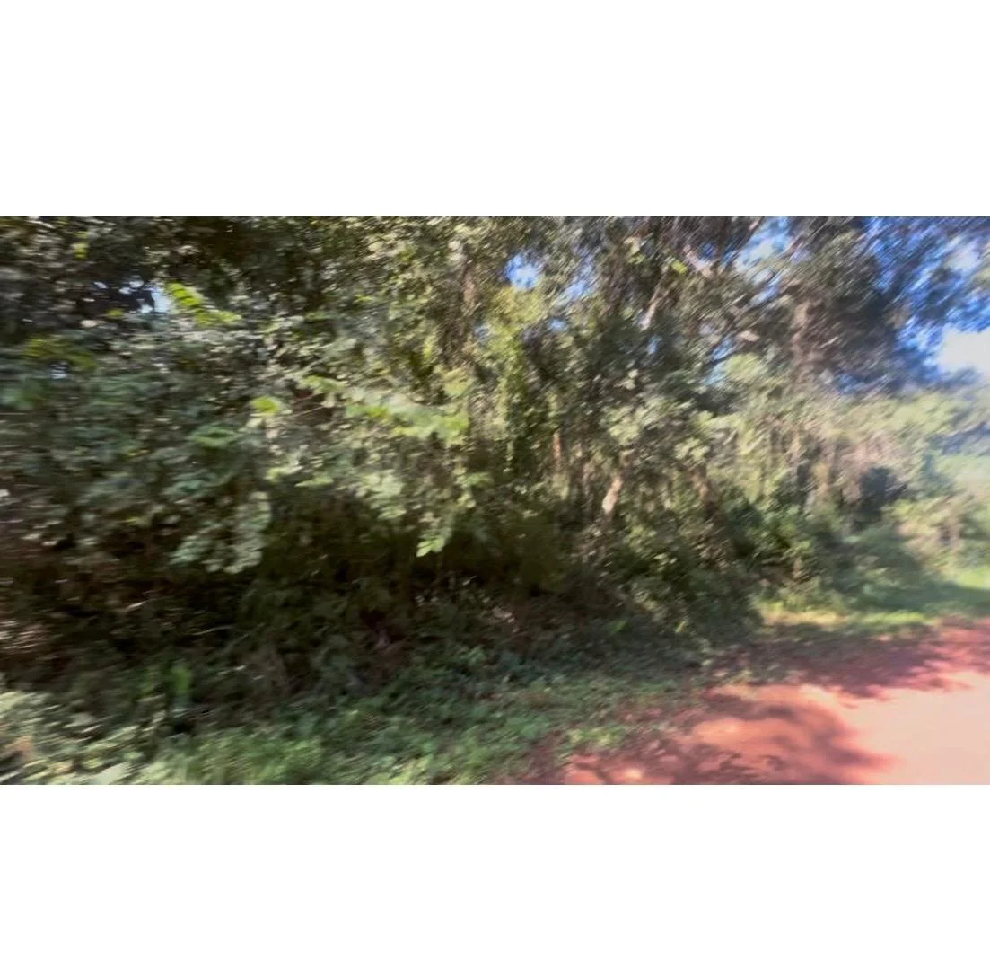 WhatsApp Image 2026-04-15 at 01.47.40 (2).jpeg