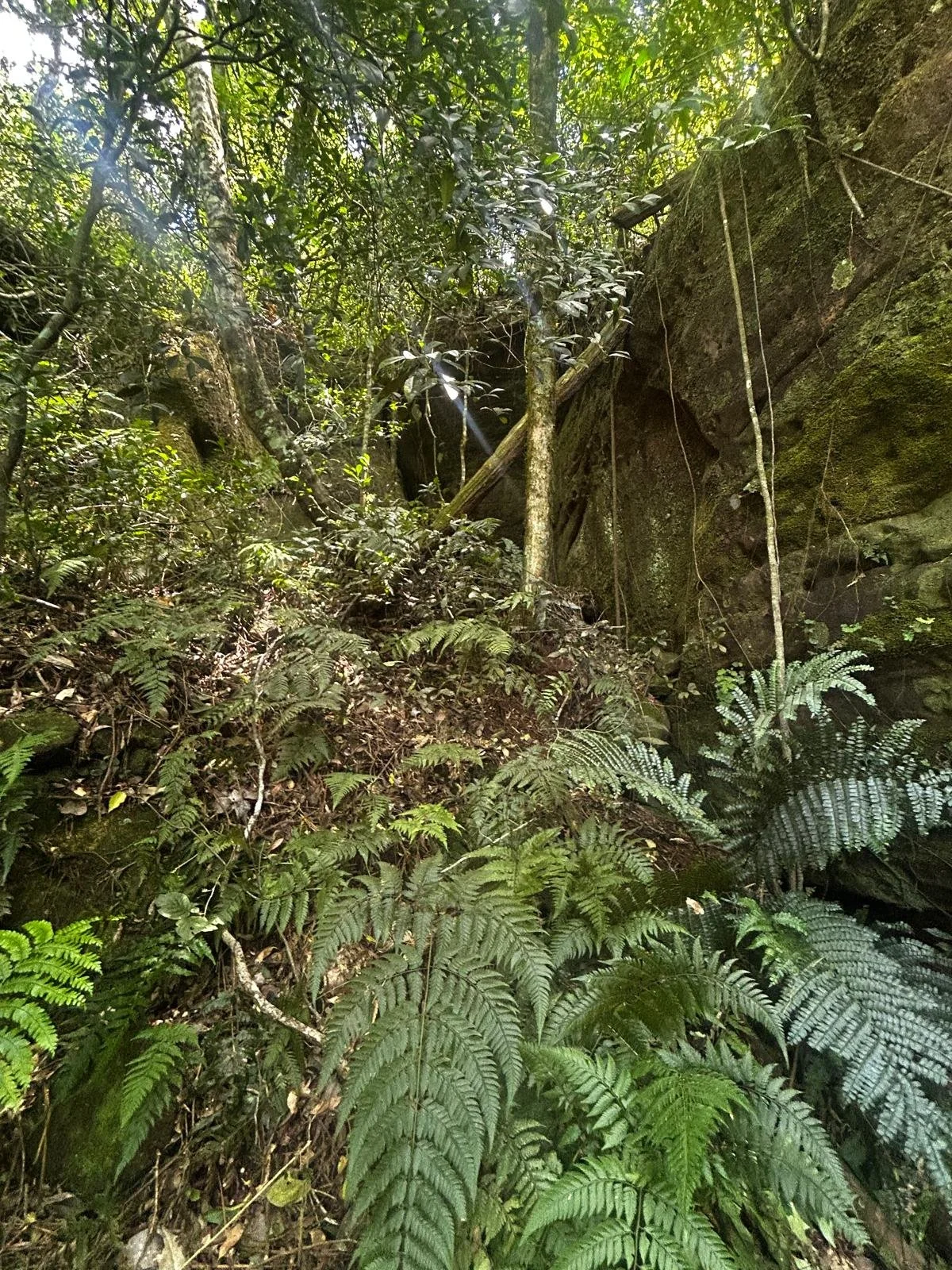 WhatsApp Image 2026-04-24 at 01.37.06 (2).jpeg