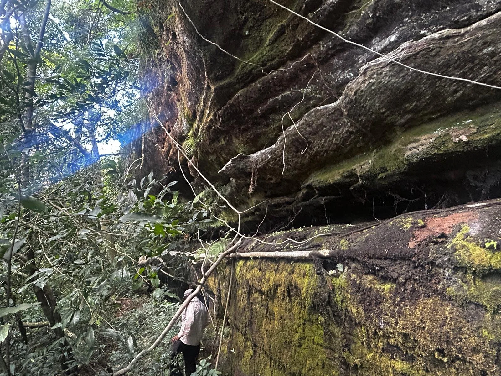 WhatsApp Image 2026-04-24 at 01.37.06 (1).jpeg