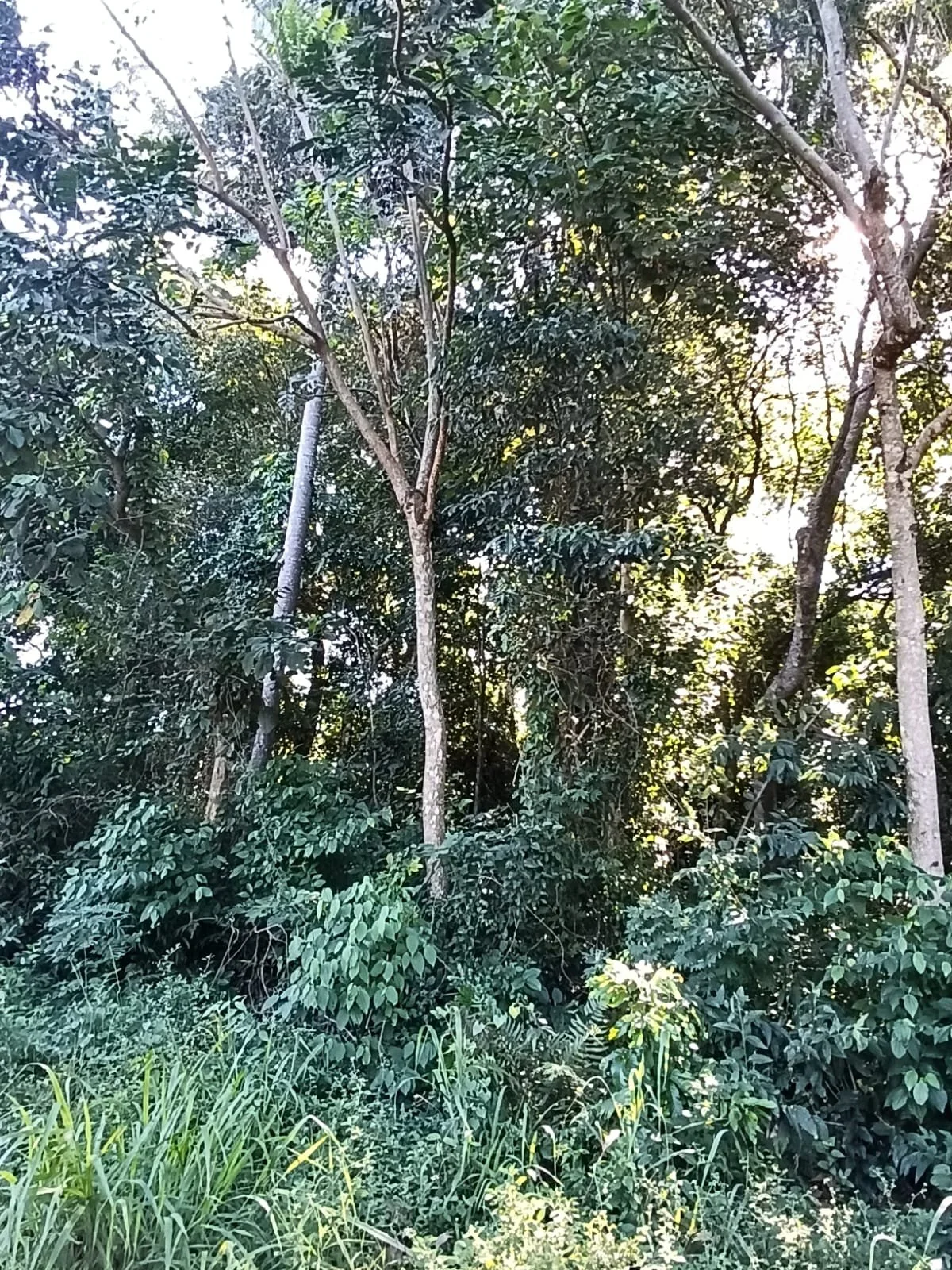 WhatsApp Image 2026-04-11 at 02.08.04 (1).jpeg