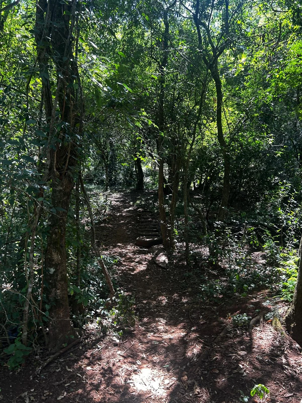 WhatsApp Image 2026-04-01 at 20.22.12 (3).jpeg