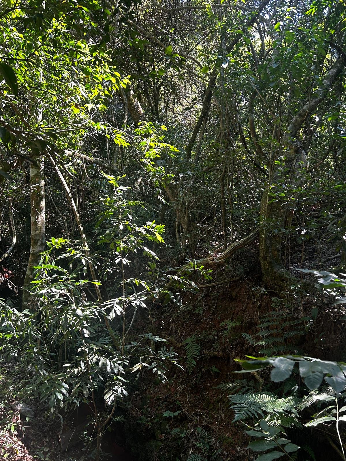 WhatsApp Image 2026-04-01 at 20.22.11 (3).jpeg