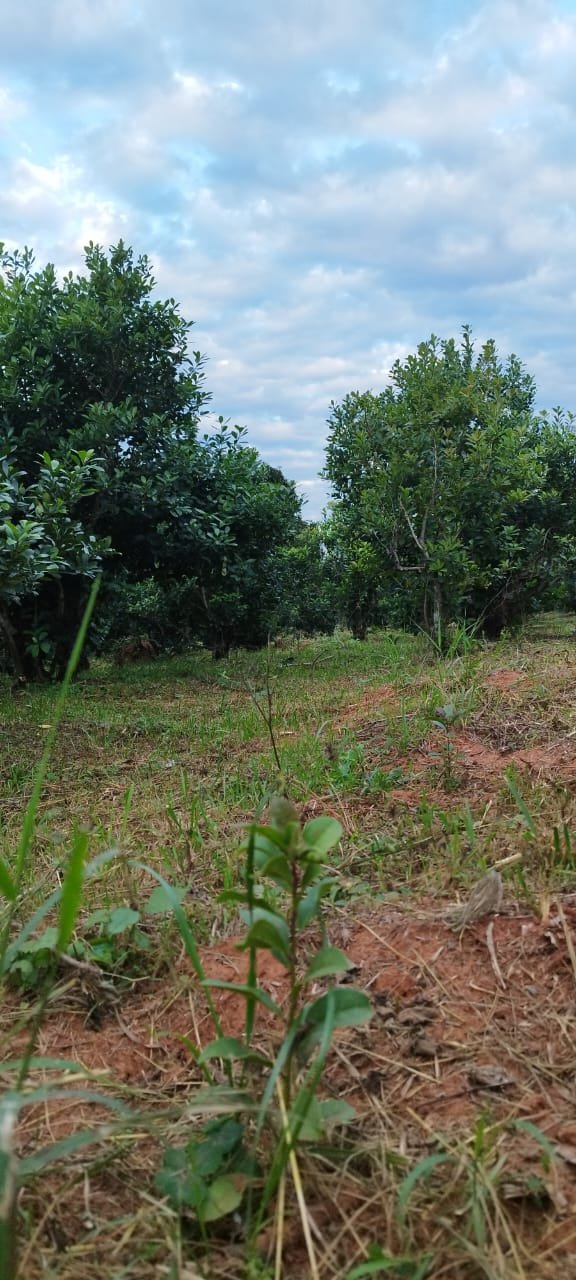 WhatsApp Image 2026-04-22 at 11.20.03.jpeg