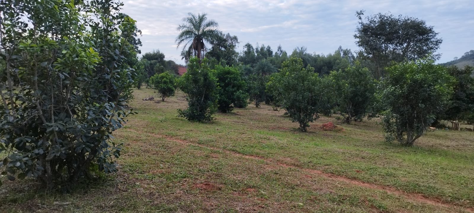 WhatsApp Image 2026-04-22 at 11.20.03 (1).jpeg