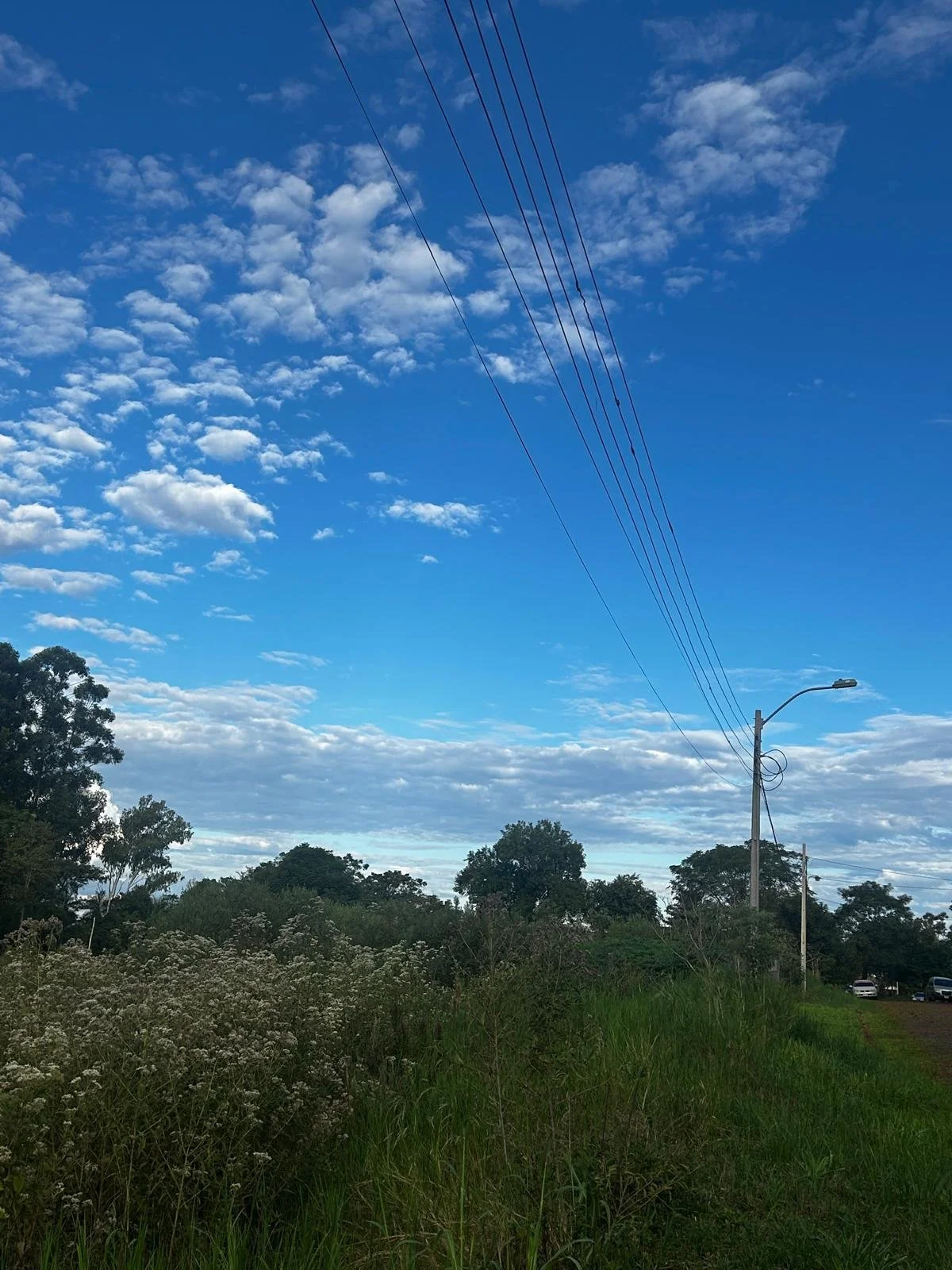 WhatsApp Image 2026-04-24 at 00.48.50 (2).jpeg