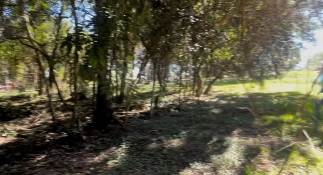 WhatsApp Image 2026-04-15 at 01.47.40 (3).jpeg