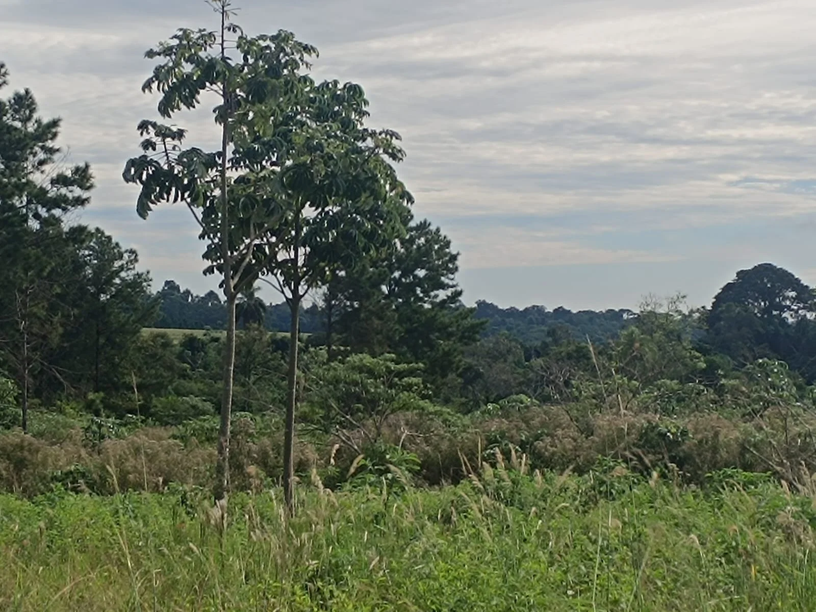 WhatsApp Image 2026-04-23 at 14.55.45 (1).jpeg