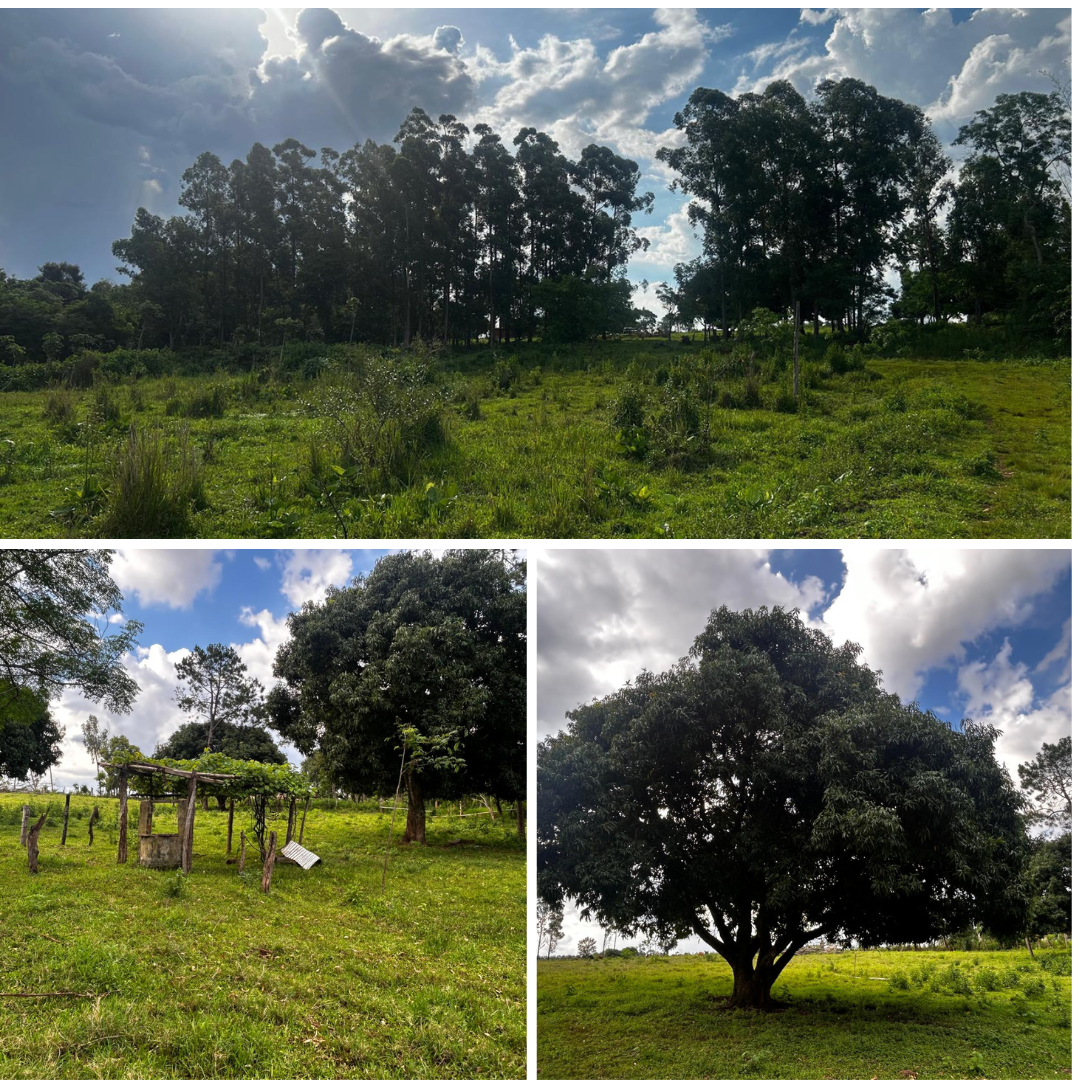 Minimalist Summer Photo Collage Instagram Post (24).png