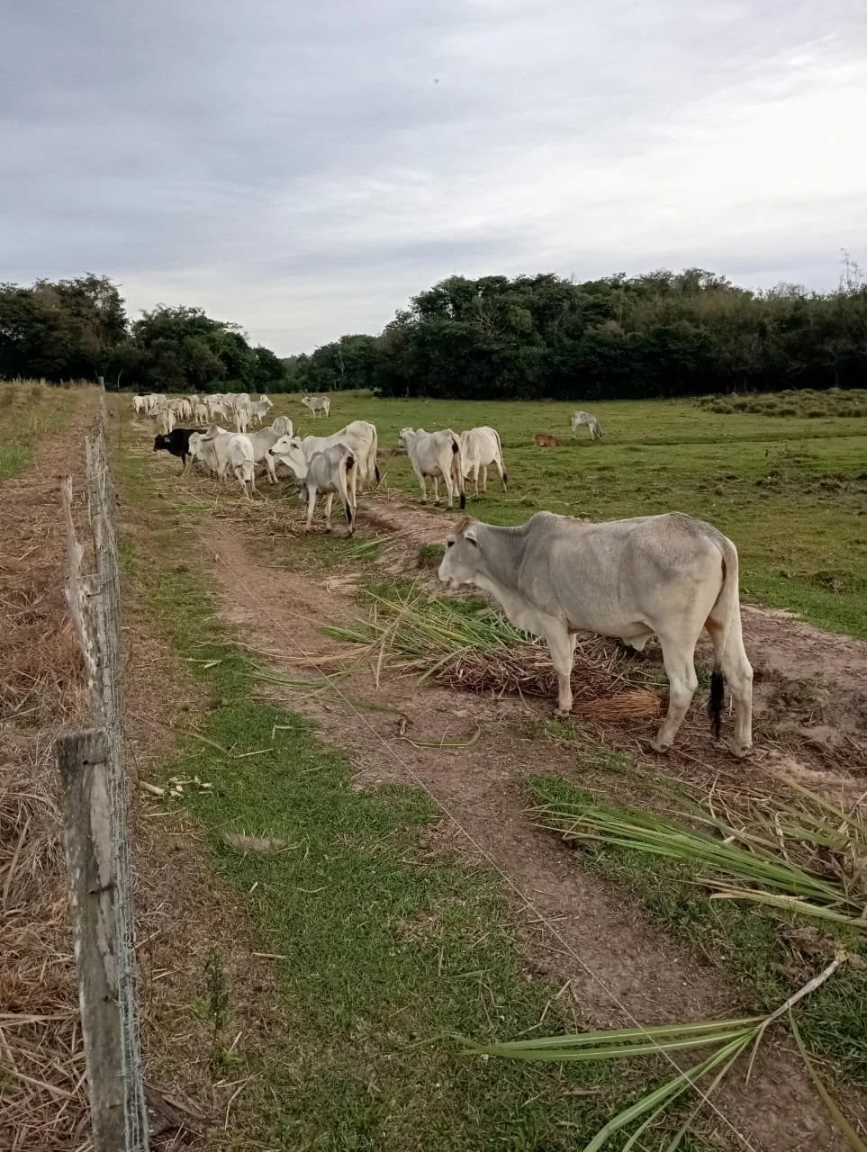 WhatsApp Image 2026-04-16 at 17.05.07 (2).jpeg