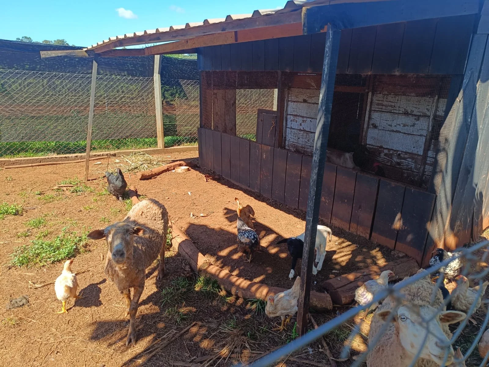 WhatsApp Image 2026-04-24 at 13.17.31.jpeg