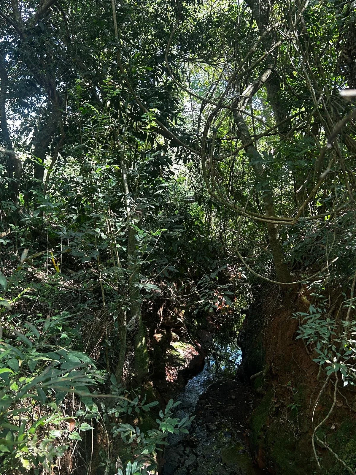 WhatsApp Image 2026-04-01 at 20.22.12.jpeg