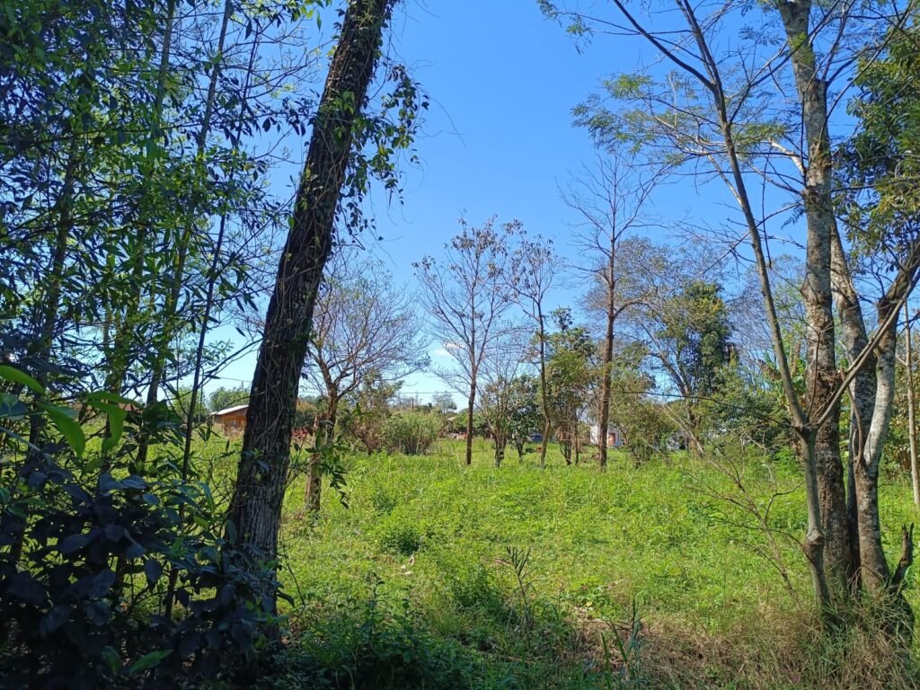 0,25 hectare - Obligado Alto