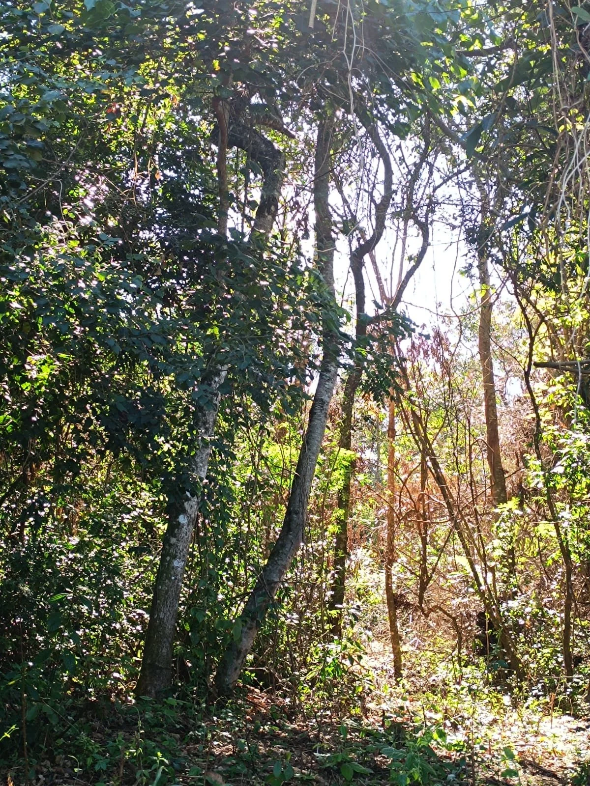 WhatsApp Image 2026-04-11 at 02.08.05.jpeg