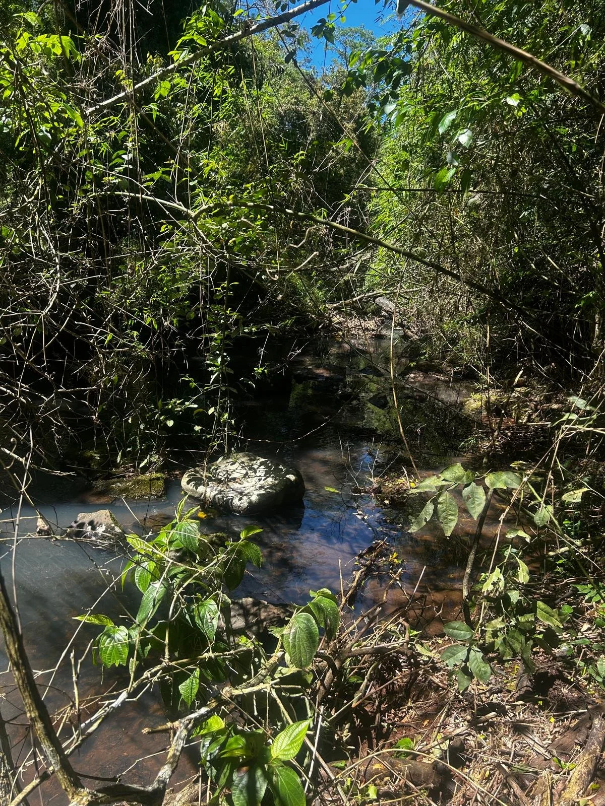 WhatsApp Image 2026-02-06 at 08.39.45.jpeg