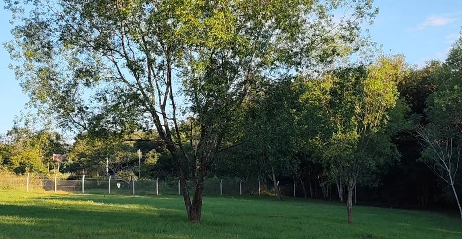 WhatsApp Image 2026-04-07 at 17.14.14.jpeg