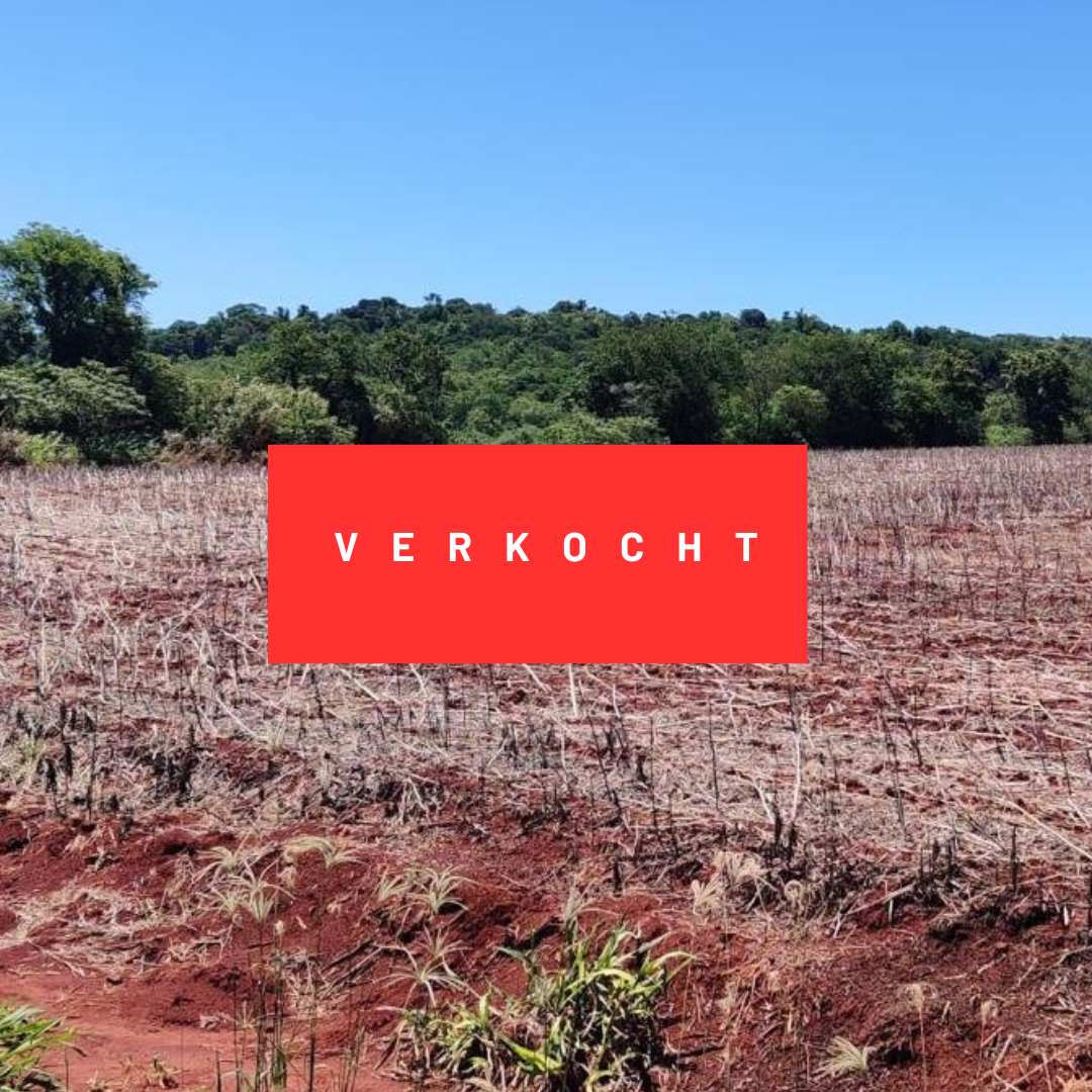 22 Hectare in Obligado
