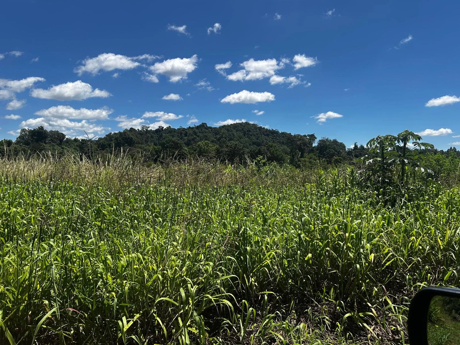 WhatsApp Image 2026-04-24 at 01.37.06 (6).jpeg