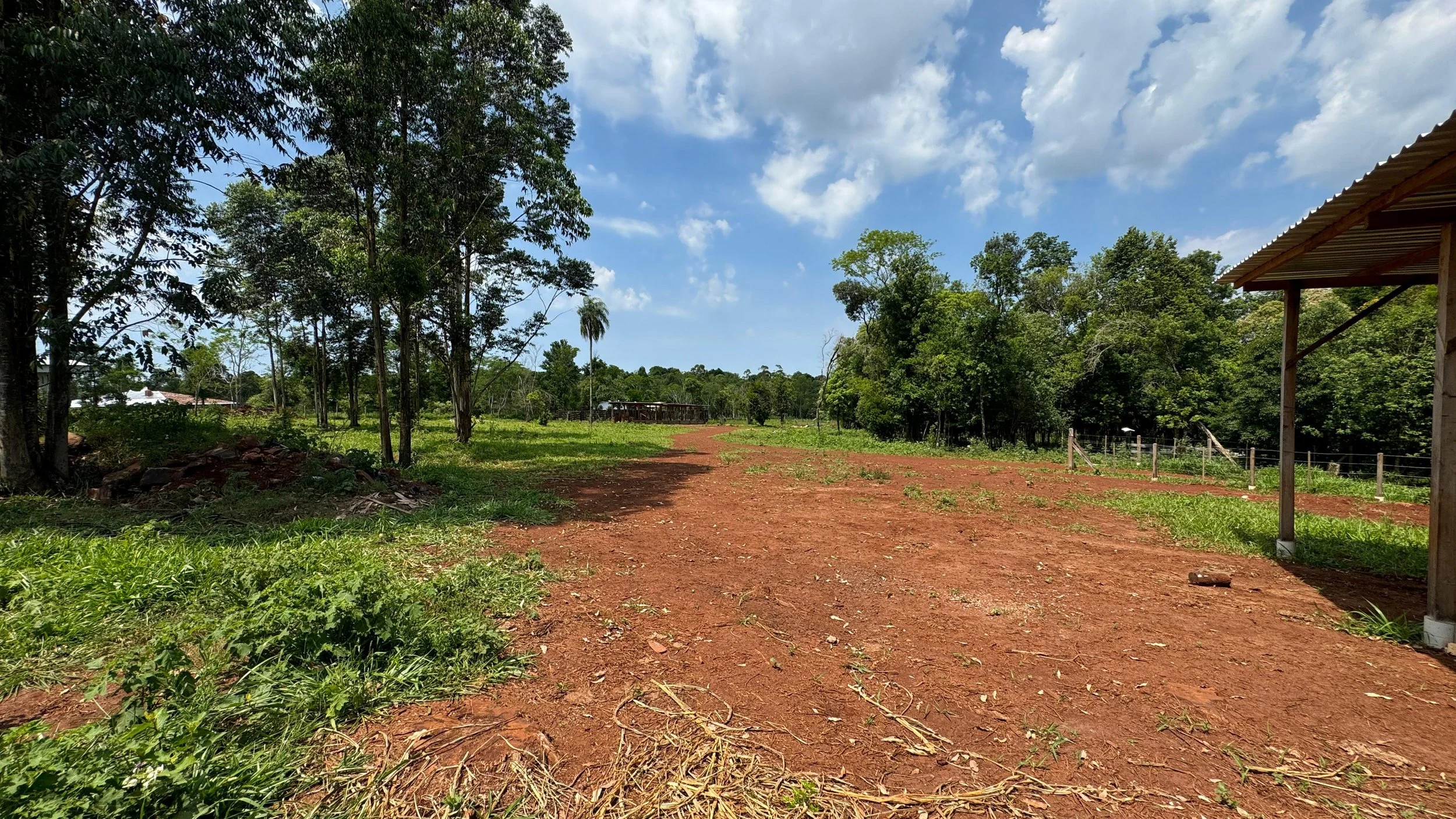 Afbeelding van WhatsApp op 2024-11-11 om 19.33.03_9c93d43d.jpg