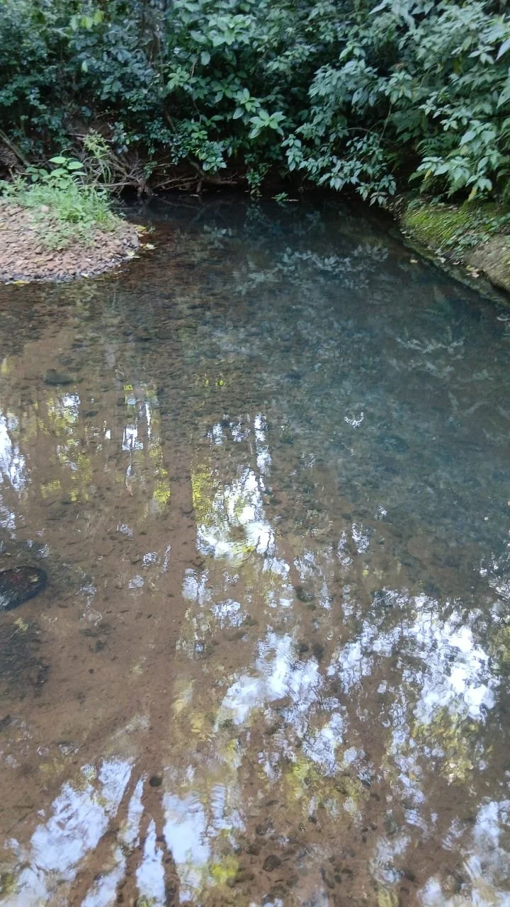 WhatsApp Image 2026-04-22 at 11.38.04 (1).jpeg