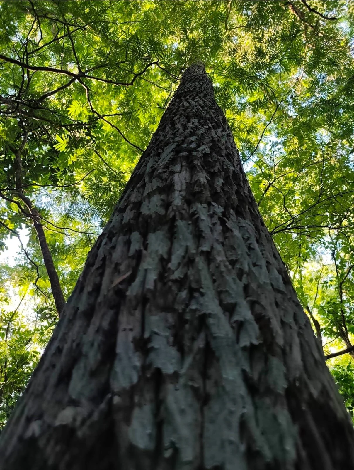 WhatsApp Image 2026-04-07 at 17.12.25.jpeg