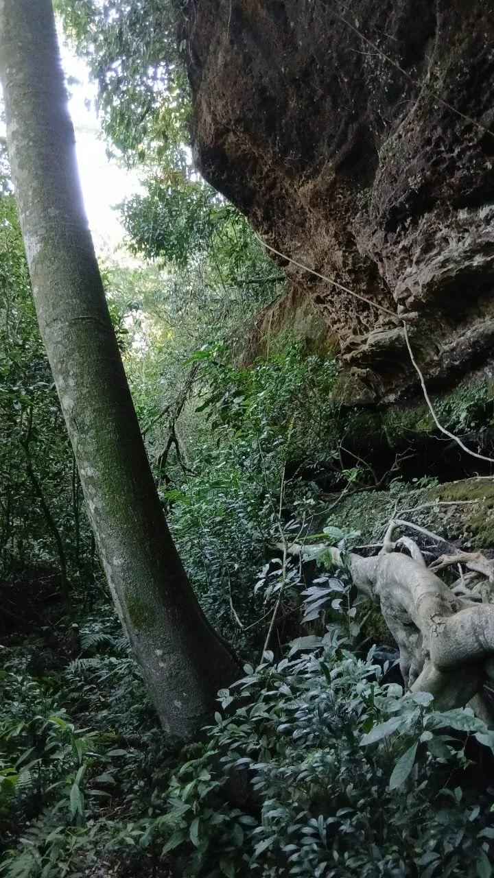 WhatsApp Image 2026-04-22 at 11.38.04.jpeg