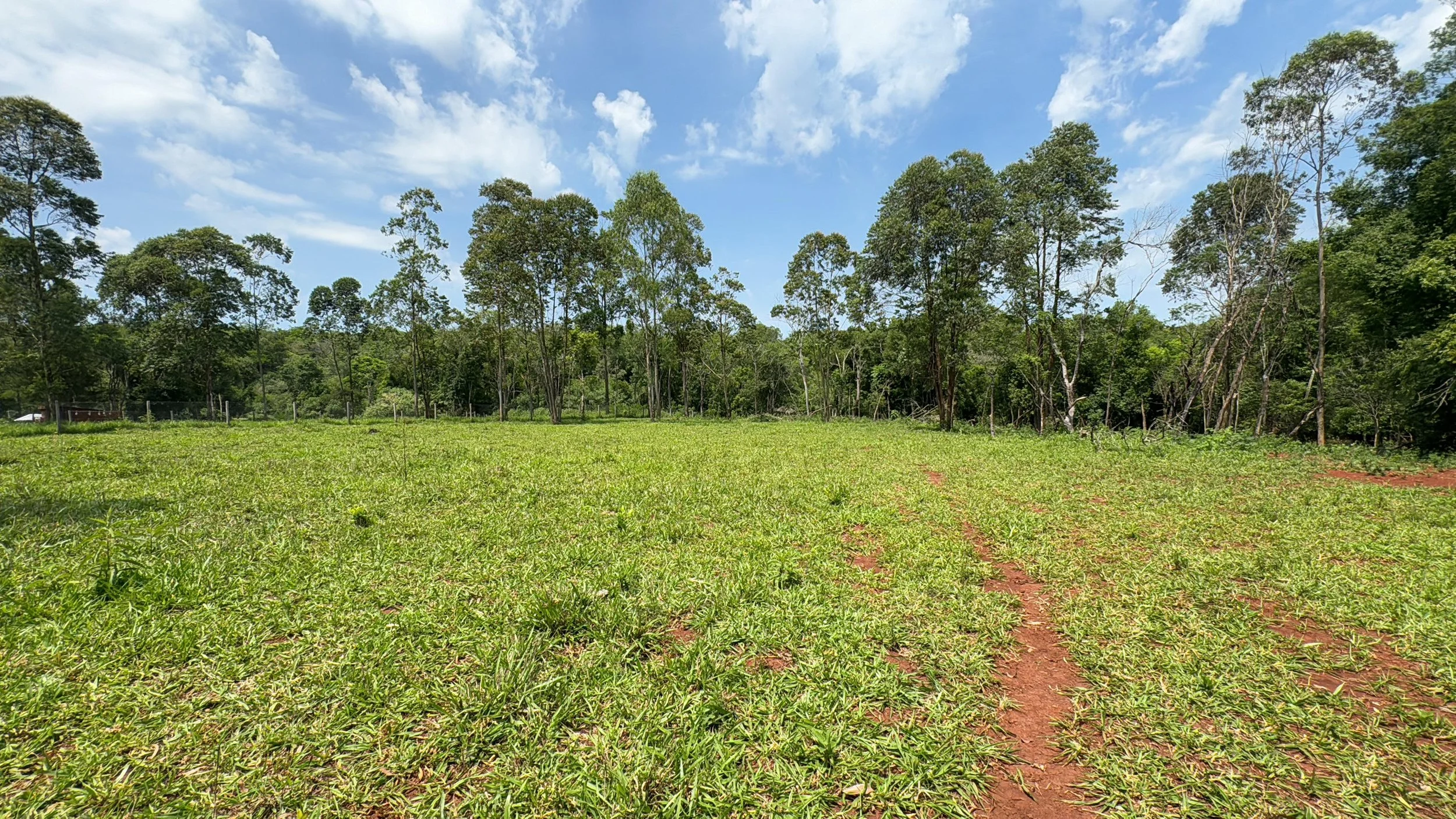 Afbeelding van WhatsApp op 2024-11-11 om 19.33.04_93973edd.jpg