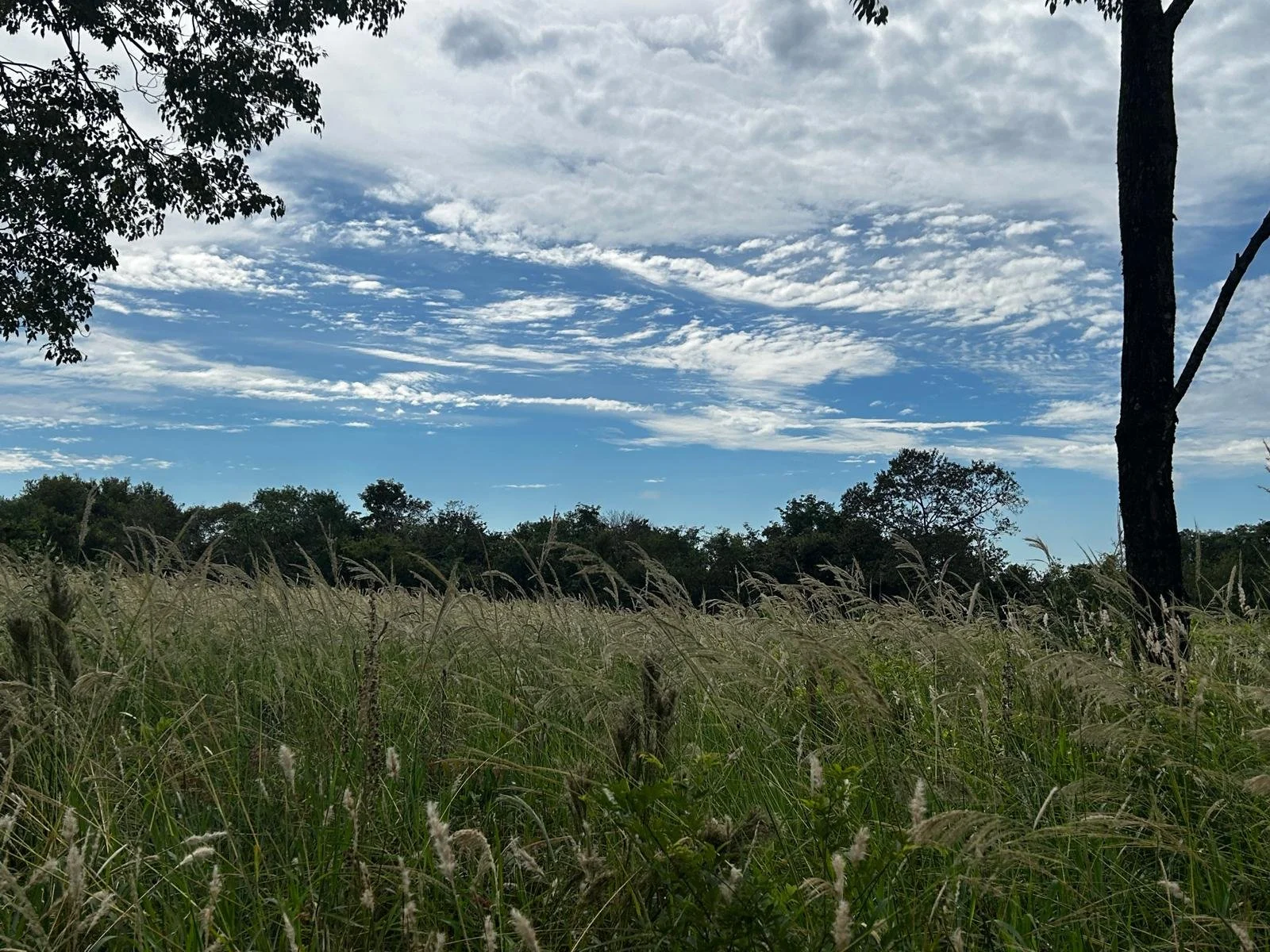 WhatsApp Image 2026-04-24 at 00.24.50.jpeg