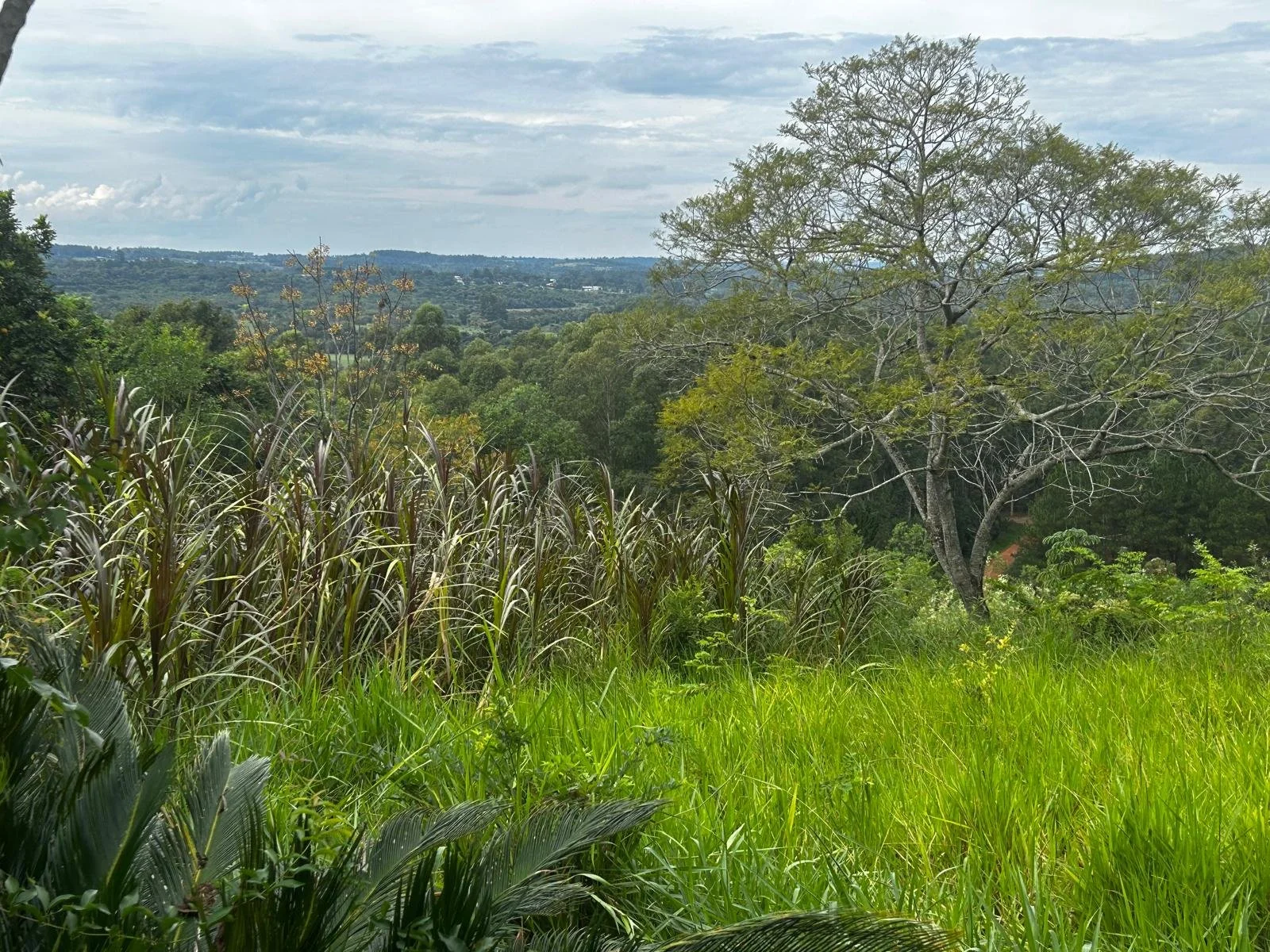 WhatsApp Image 2026-04-24 at 00.24.50 (4).jpeg