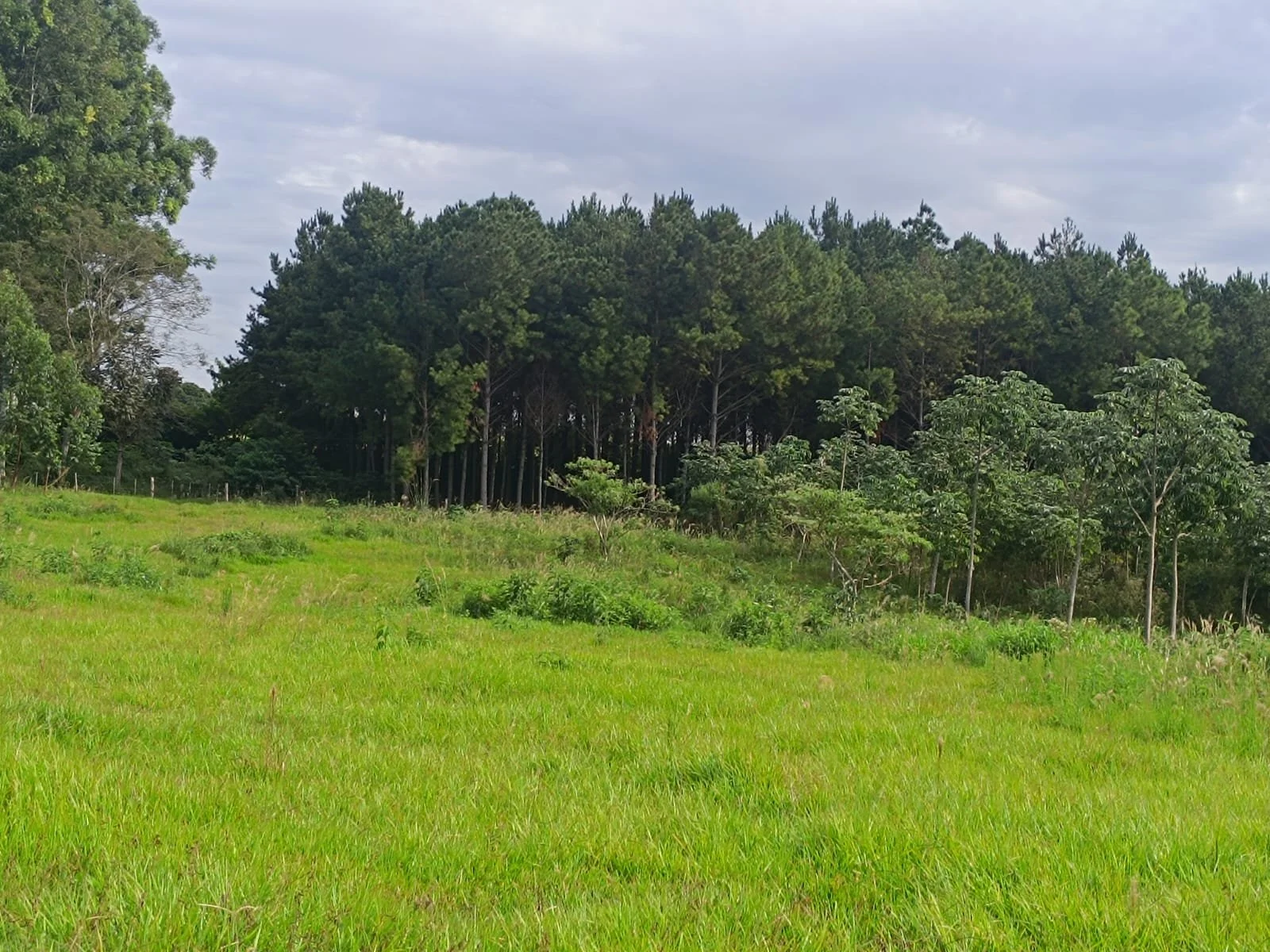 WhatsApp Image 2026-04-23 at 14.55.45.jpeg