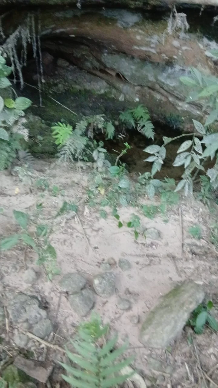 WhatsApp Image 2026-04-22 at 11.38.52.jpeg