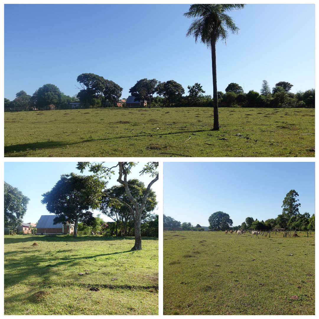 Prachtig weiland van 4000 m² in Hohenau – Dichtbij Trinidad