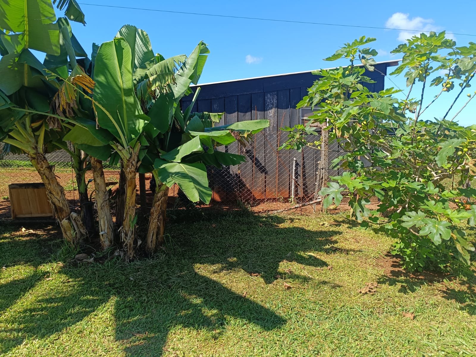 WhatsApp Image 2026-04-24 at 13.17.31 (1).jpeg