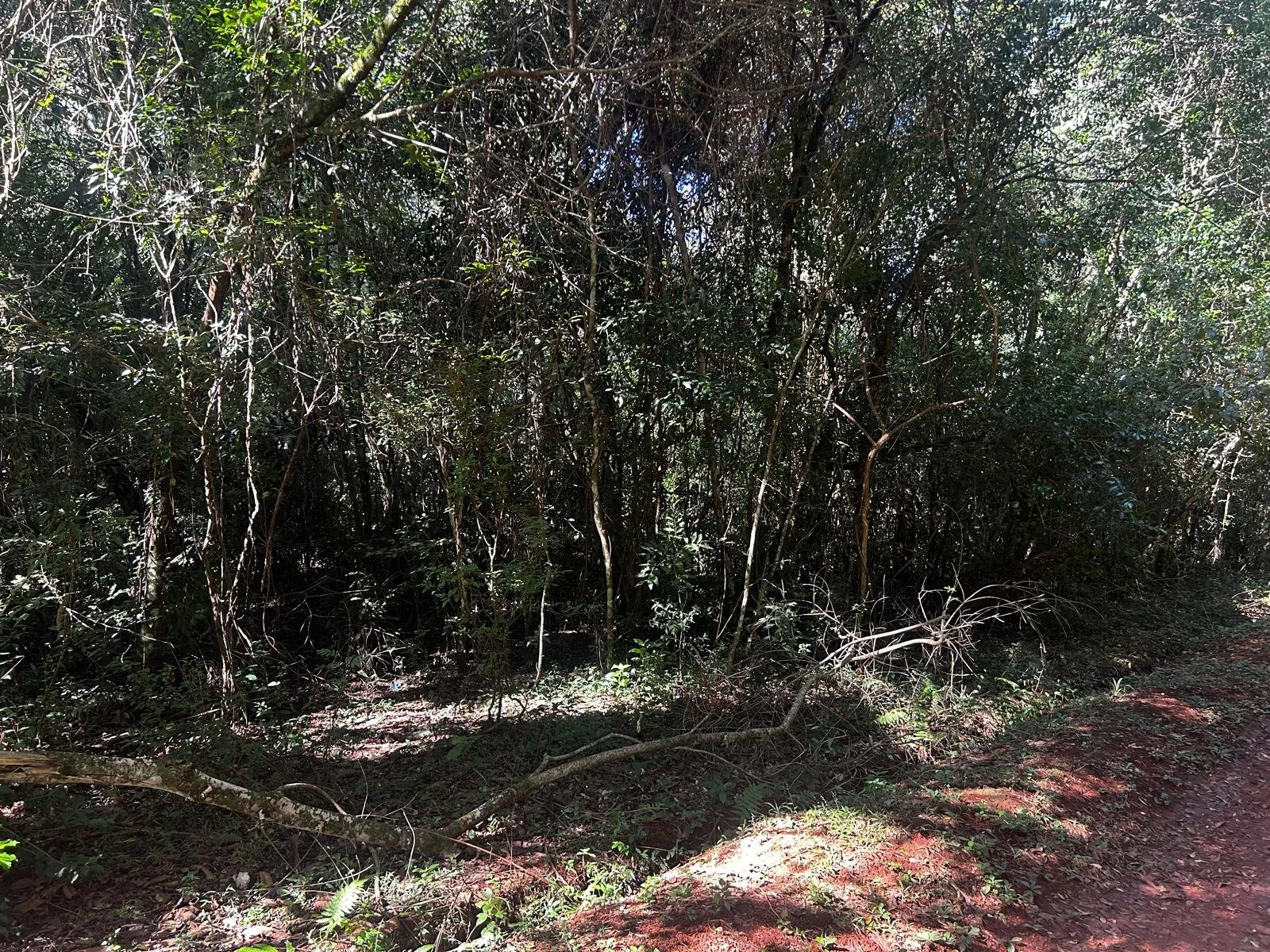 WhatsApp Image 2026-04-15 at 01.47.40 (1).jpeg