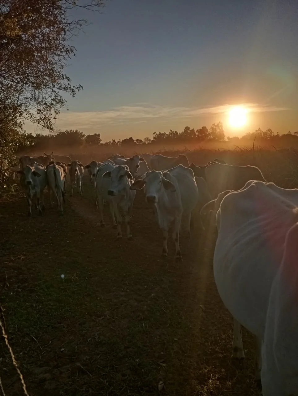 WhatsApp Image 2026-04-16 at 17.05.06.jpeg