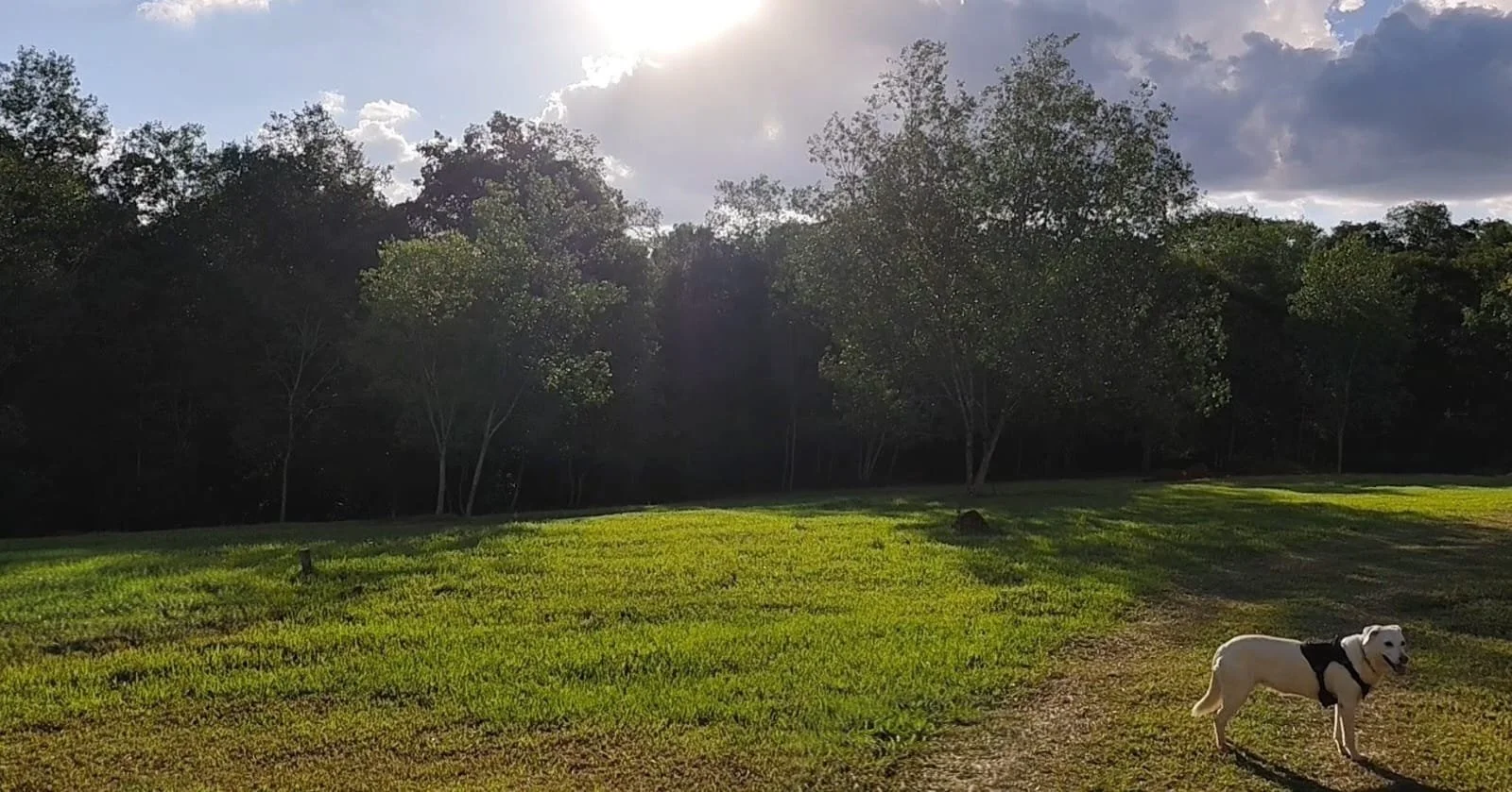 WhatsApp Image 2026-04-07 at 17.13.06.jpeg