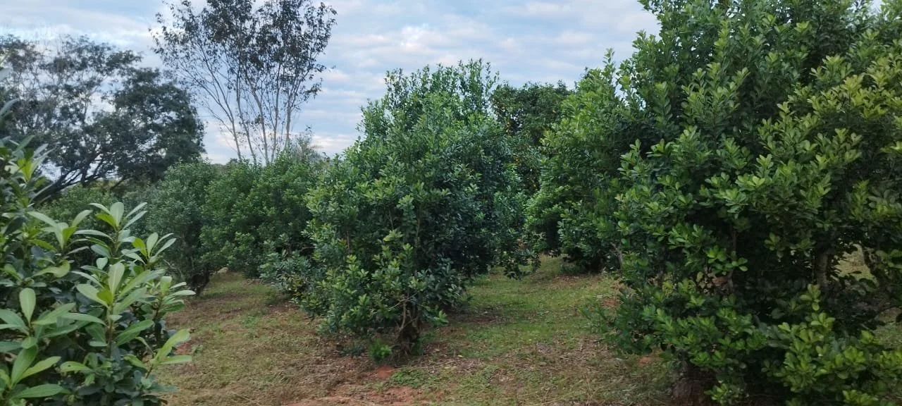 WhatsApp Image 2026-04-22 at 11.20.04.jpeg