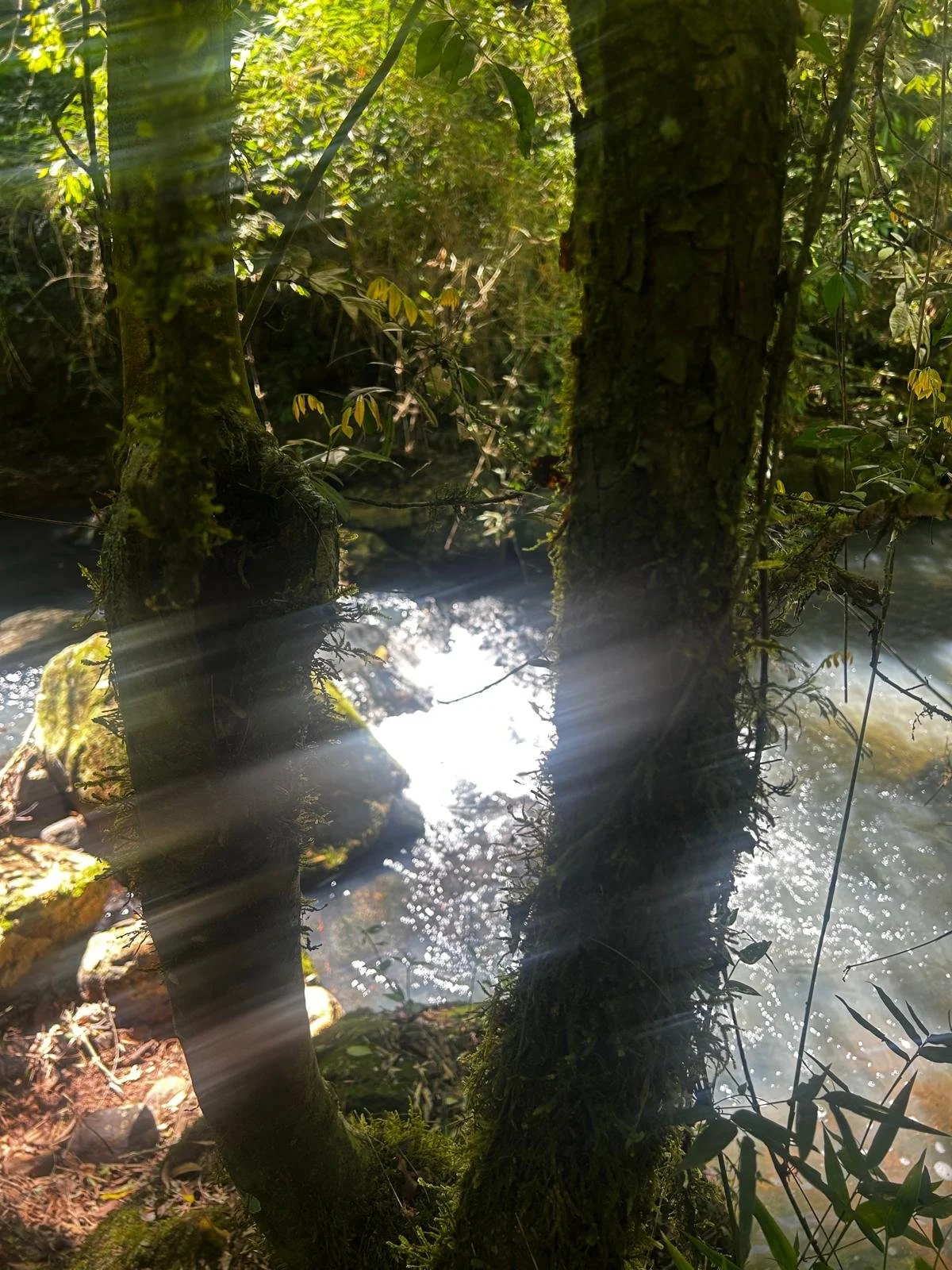 WhatsApp Image 2026-02-06 at 08.40.18.jpeg