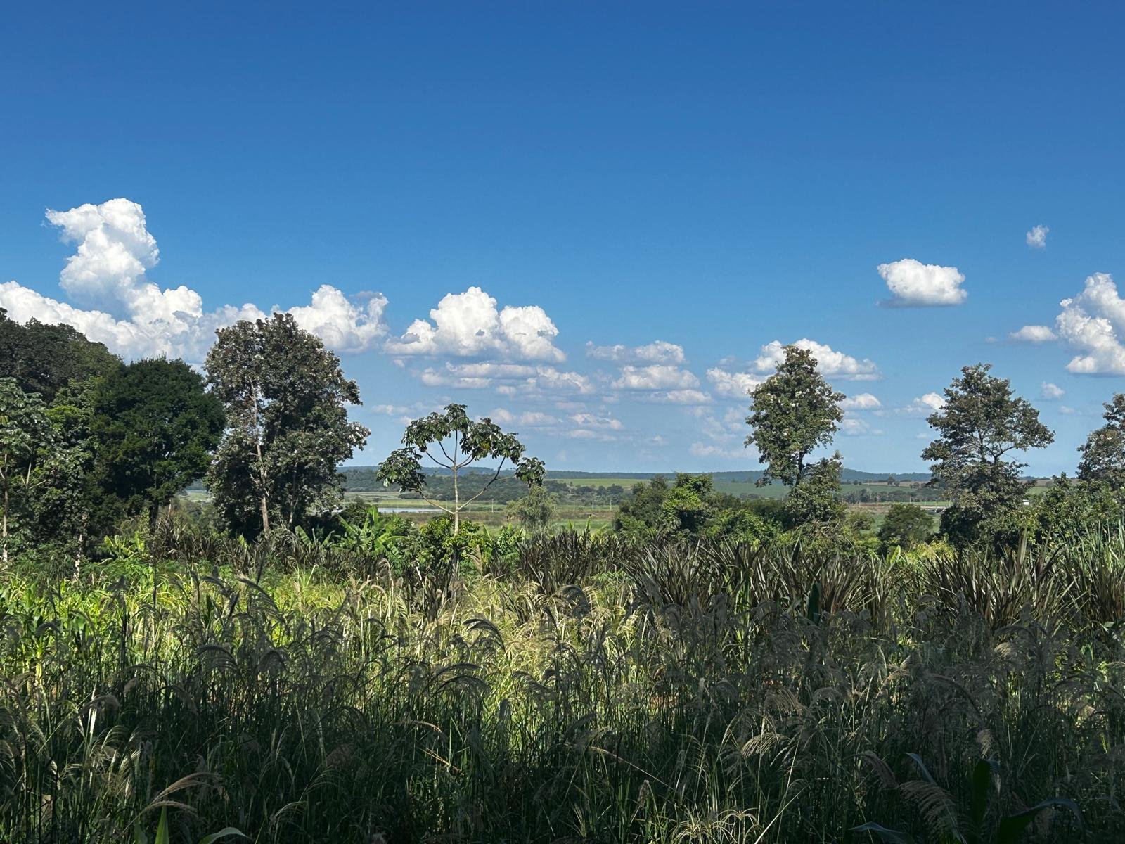 WhatsApp Image 2026-04-01 at 20.45.33.jpeg