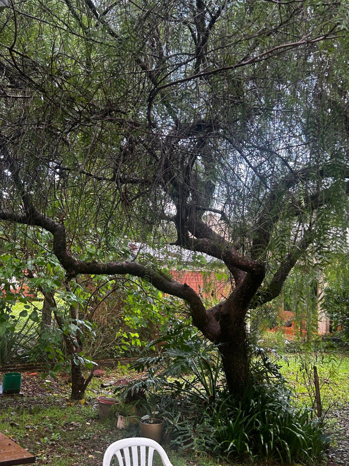 WhatsApp Image 2026-04-11 at 00.58.59 (12).jpeg