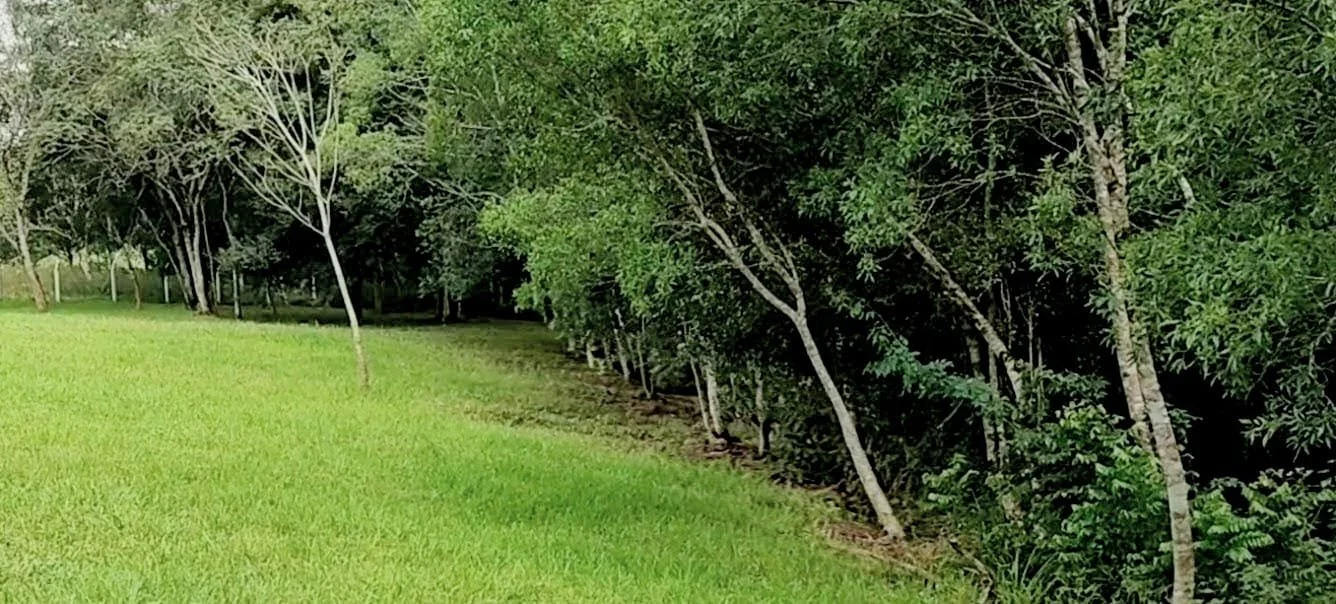 WhatsApp Image 2026-04-07 at 17.17.37.jpeg