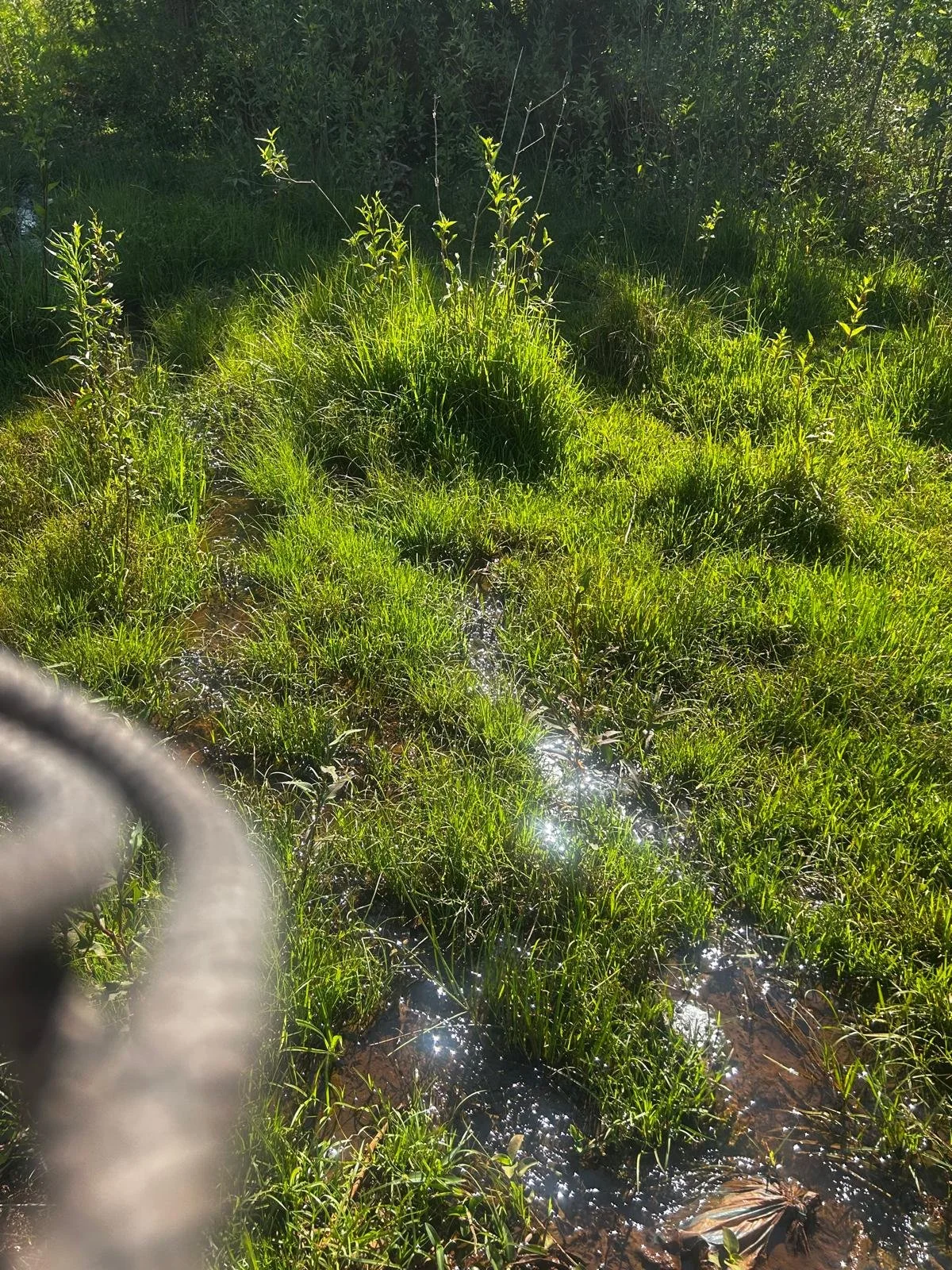 3 ha Pasa Guembe vlabij dorpskern