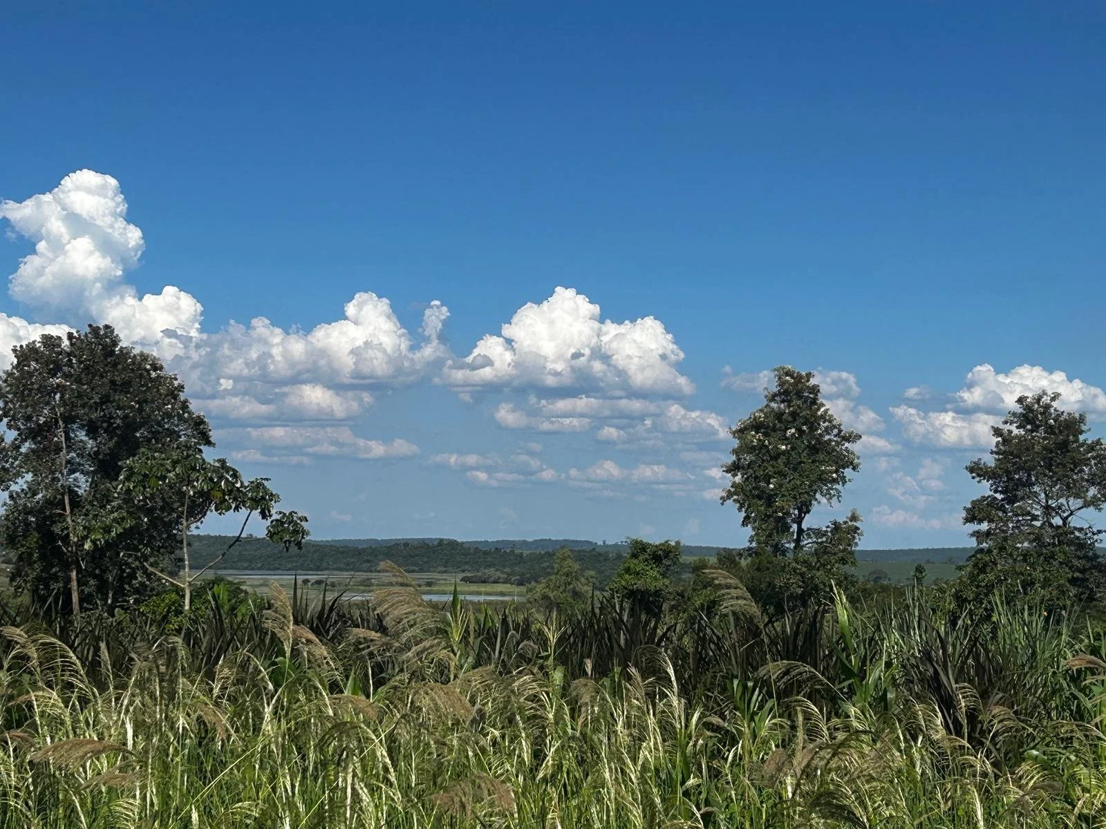 WhatsApp Image 2026-04-01 at 20.45.33 (1).jpeg