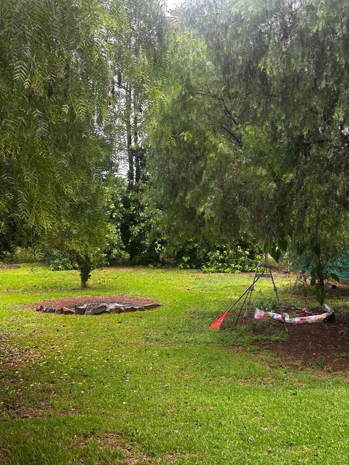 WhatsApp Image 2026-04-11 at 00.58.59 (11).jpeg