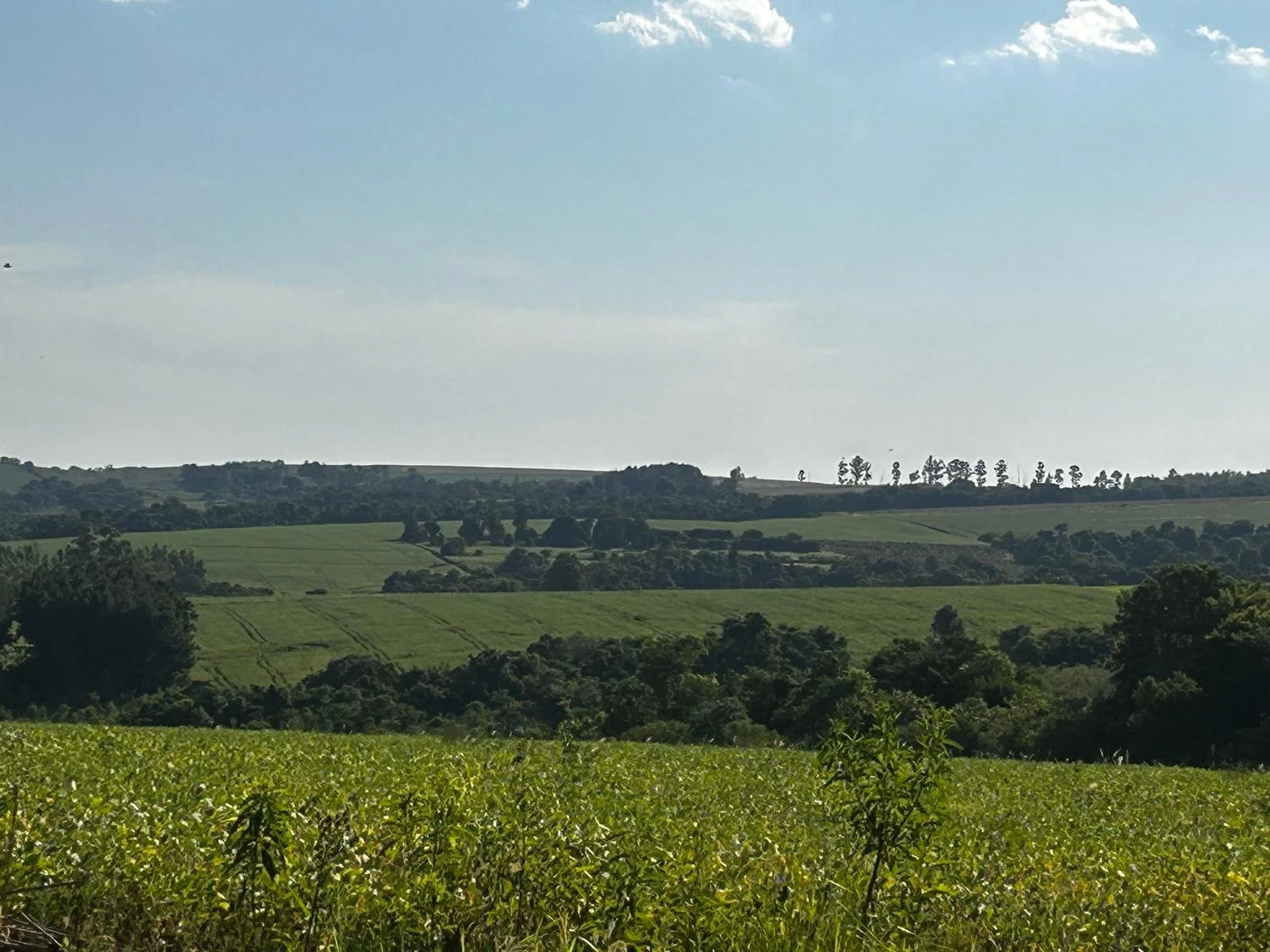 18 ha Jesus Carumbey