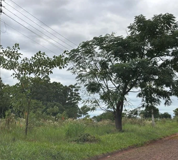 WhatsApp Image 2026-04-21 at 22.35.20.jpeg