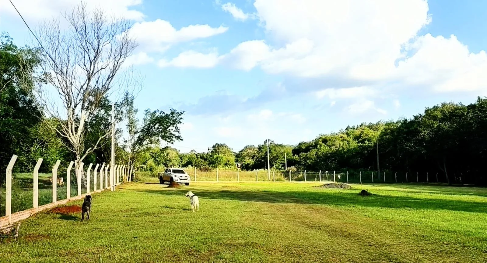 WhatsApp Image 2026-04-07 at 17.11.01.jpeg